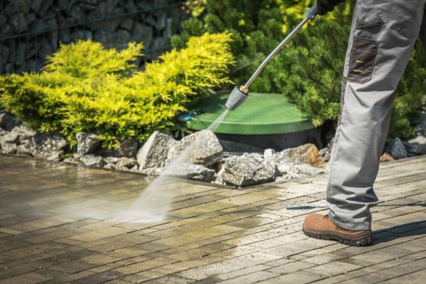 Best Restaurant Pressure Washing  in La Crescent, MN